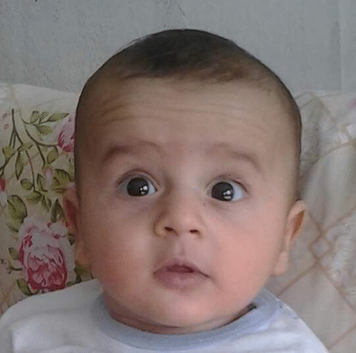 پوریا کیانی